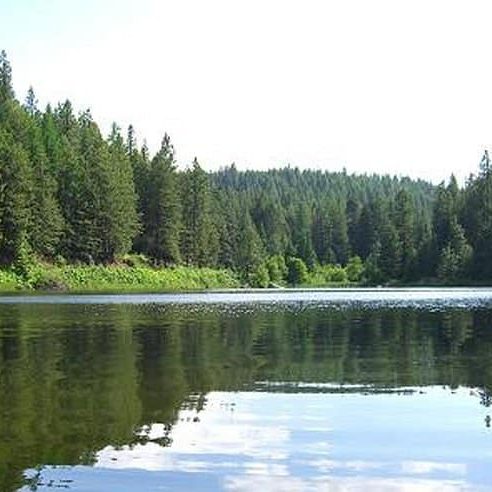 winchester-lake-state
